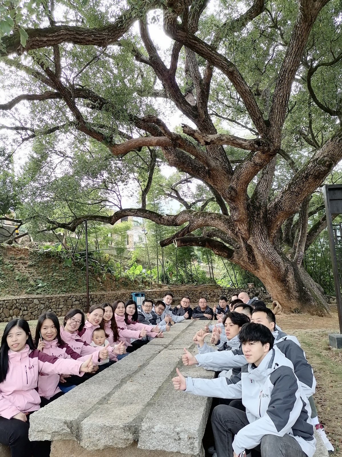 微信图片_20210618093242_tn